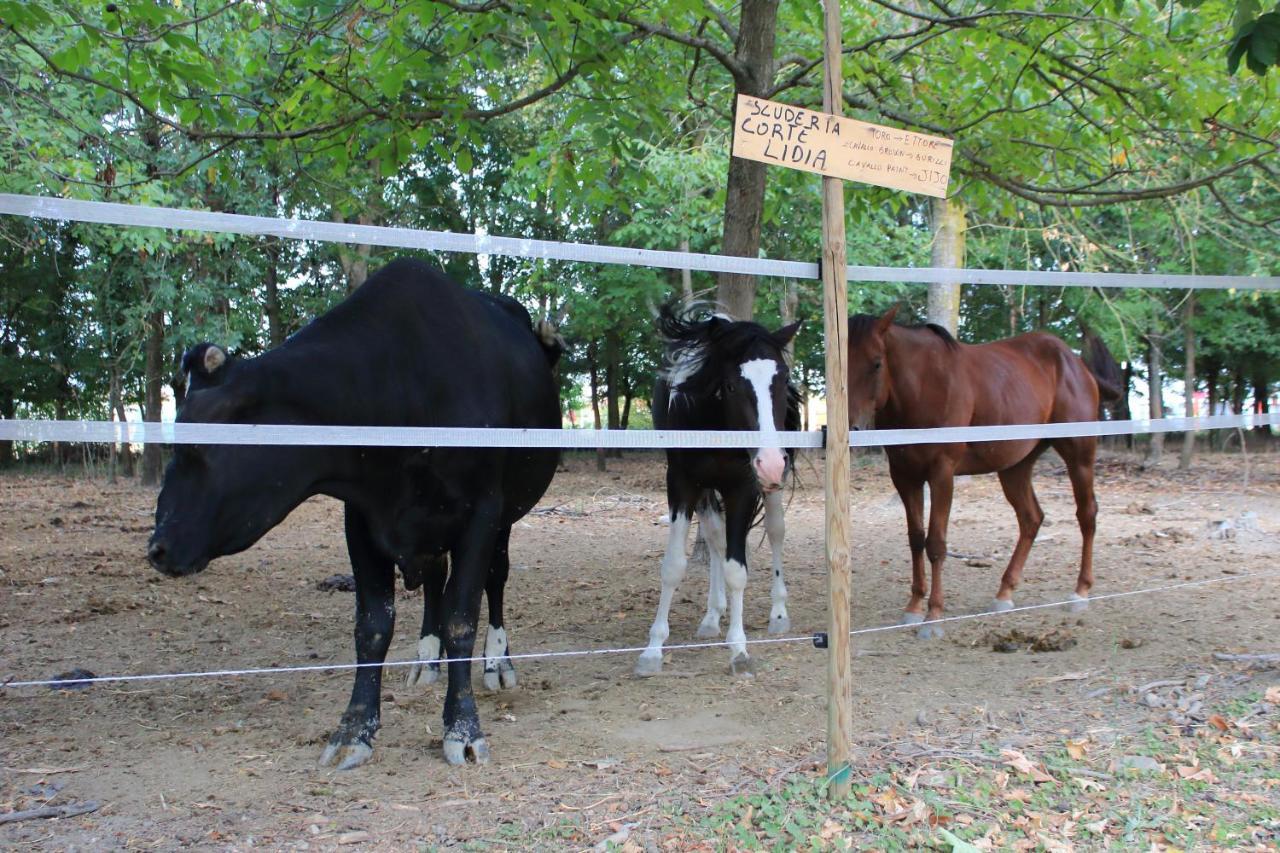 Agriturismo Corte Lidia Bellaguarda Εξωτερικό φωτογραφία